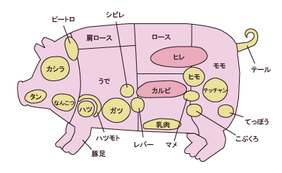 豚肉の部位と特徴